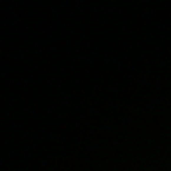 Meet your Posher, Erika - Picture 1 of 1